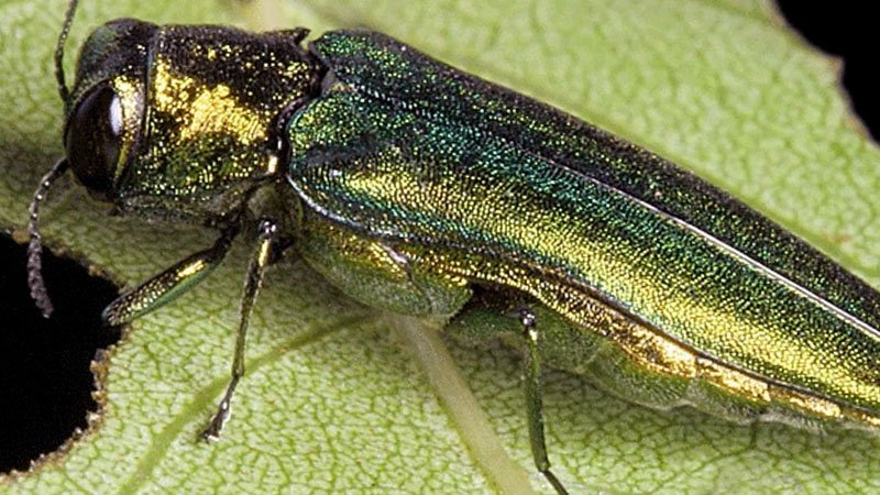 022020eab2.jpg
