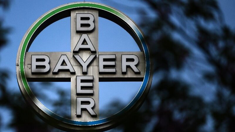 060320bayer.jpg
