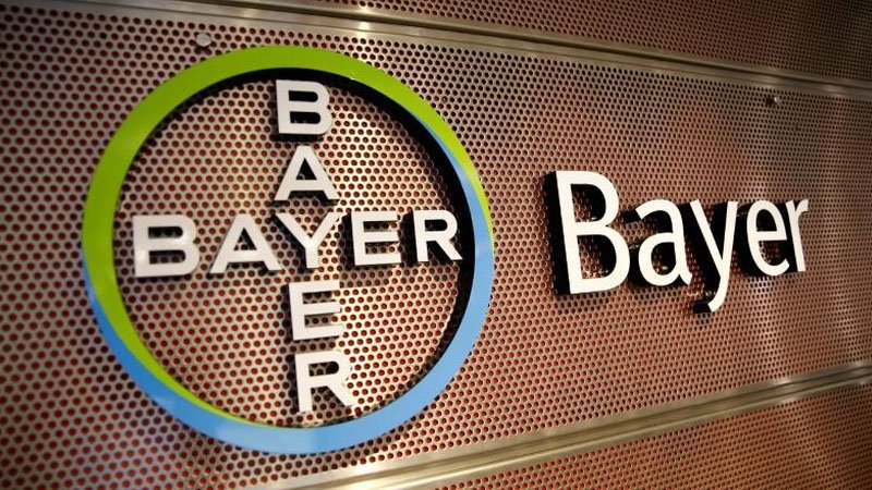 080521bayer.jpg