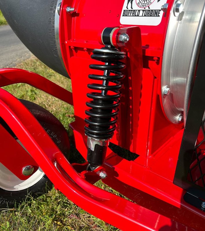 011624 buffalo 2.jpg