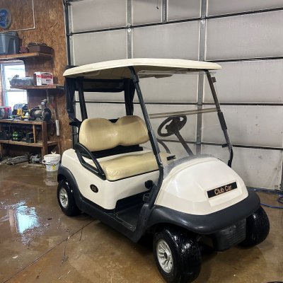  (19) 2018 Club Car Precedent