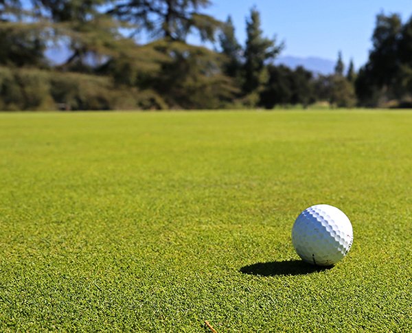 030526 poa cure 2.jpg