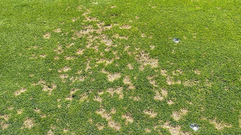 030626 research 3.jpg