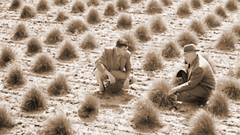 More information about "Kahiu named recipient of Musser Award of Excellence"