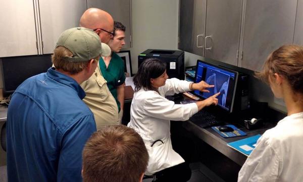 Visitors learn about bald eagles during the inaugural meet and greet in 2015.