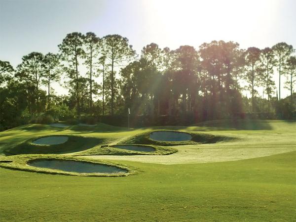 The Ryder, Dye and Wanamaker courses at PGA Golf Club all have received a makeover since Dick Gray arrived in 2013.