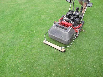 With an 80 SGN, Country Club MD reduces the chances of mower pick-up of fertilizer particles.