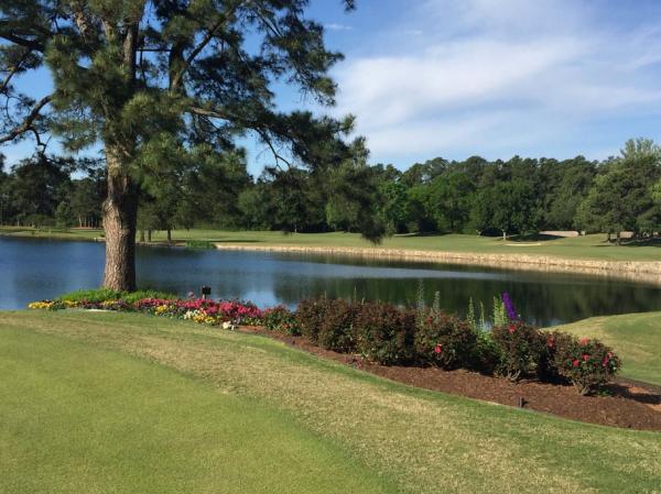 Trees are an important part of the property at Lochinvar Golf Club in Houston.