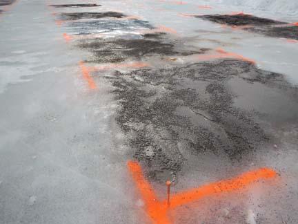 Last winter's severe conditions resulted in winterkill research being conducted on test plots at Michigan State University and on golf courses throughout the Great Lakes region. Photo by Kevin Frank, Ph.D., Michigan State University