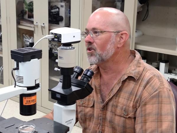 Billy Crow, Ph.D., has been a landscape nematologist at the University of Florida for the past 17 years. Photos by John Reitman