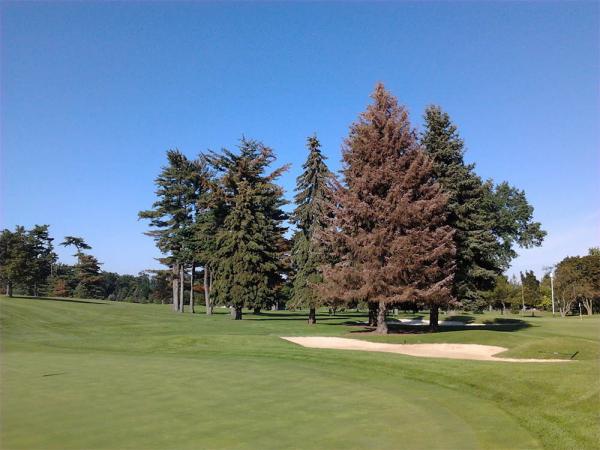 The golf industry is not immune to crises.