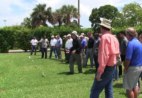 Travis Shaddox, Ph.D., (wearing black shirt in center of screen) discusses fertilization techniques with the group.