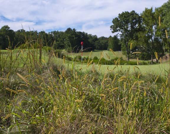 Merion Golf Club is firm and dry thanks to Shaffer. Photo courtesy of Merion Golf Club