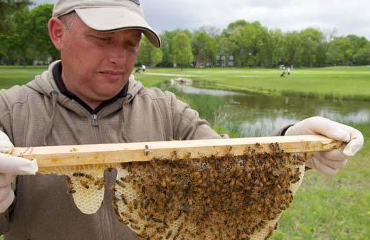 Bryan Bergner stepped off the golf course in 2016 to be a stay-at-home dad.