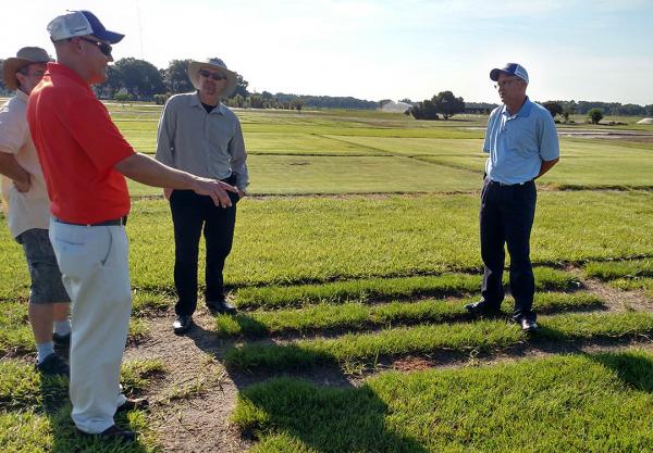 From left, University of Florida professors Billy Crow, Travis Shaddox and Bryan Unruh listen as Kevin Kenworthy (in orange shirt) talks about some of the turf trials underway at the university's research center in Citra, Florida. Photos by John Reitman