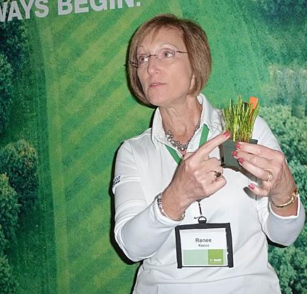 Renee Keese, Ph.D., of BASF, demonstrates the systemic properties of fluxapyroxad in tall fescue infected with rhizoctonia solani.