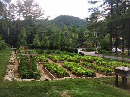 Brian Stiehler's farming operation at Highlands CC helps supply the clubhouse and F&B departments with fresh flowers and produce.
