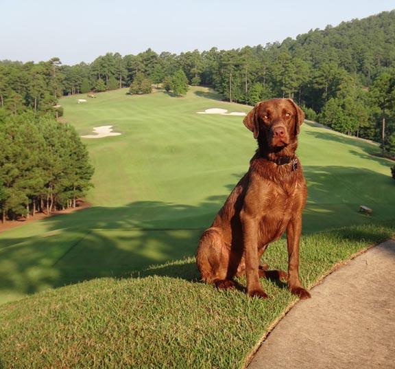Mulligan of The Alotian Club in Roland, Arkansas.