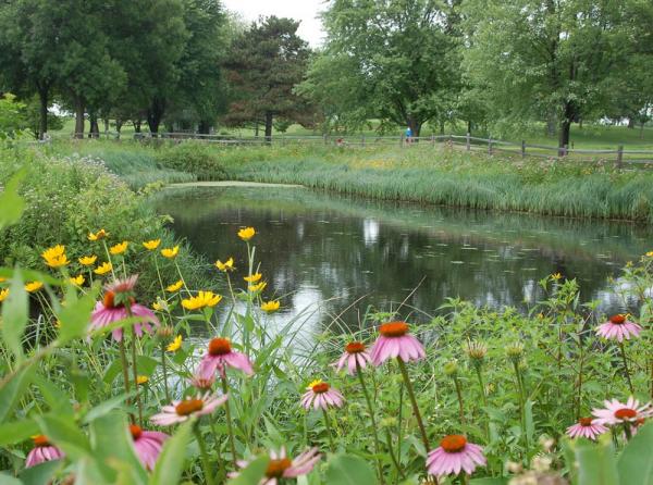 Minnesota's BMP guidelines are helping prove to state agencies that golf courses, like Keller Golf Course in Maplewood, already are responsible stewards of the state's natural resources. Photo by Ramsey County Parks and Recreation