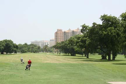 Scientists aren't sure why Florida bonneted bats have returned to Granada Golf Course (above) in Coral Gables, Florida, or if they've gone previously undetected there.