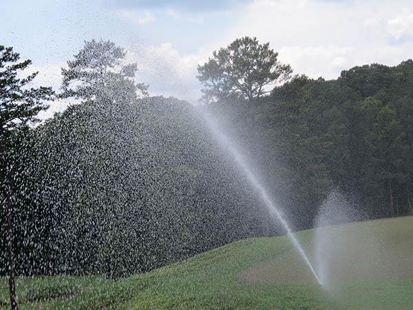 According to research, irrigation can help spread moss infestations. Photo by John Reitman