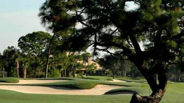 Dodger Pines once was thick with history and nostalgia.