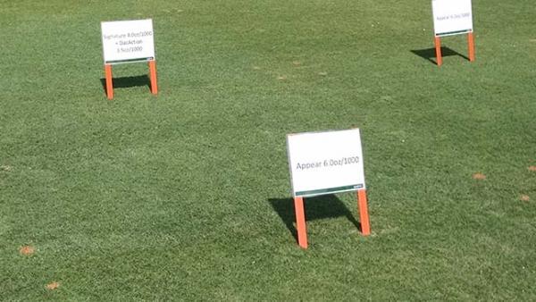 Syngenta can monitor the effects of many products and programs at its 240-acre resaearch facility in Vero Beach, Florida.