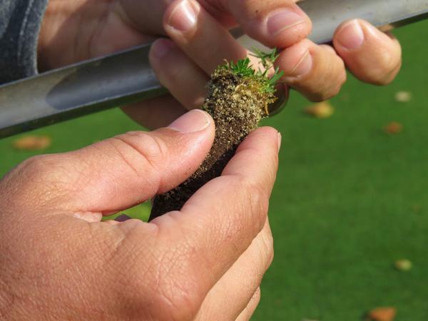 Chad Mark's goal at the Inverness Club is creating championship conditions every day.