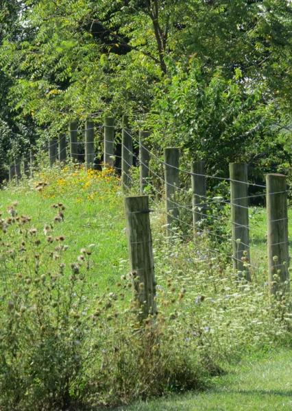 The tranquil scenery at the turf research center offer no indication that the property is part of one of the country's largest universities.