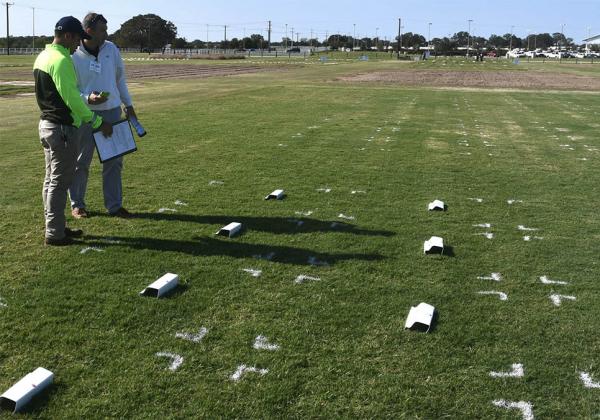 Garrett Flores, left, and Ben Wherley, Ph.D., are studying the nutritional value of cold-brewed coffee grounds at Texas A&M. Photo by Kay Ledbetter/Texas A&M