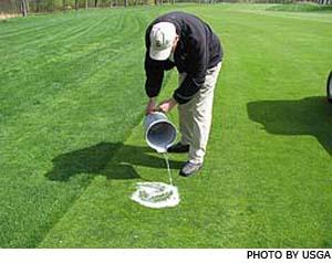 Soap flushing is a good way to monitor annual bluegrass weevil activity by drawing adults to the surface.