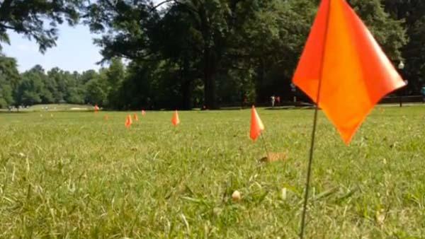 Flags denote the location of some of the graves at North Fulton Golf Course. Photo by WSB-TV.