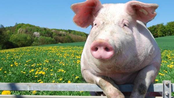 Photo via National Geographic