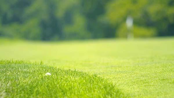 Height of cut in rough areas can greatly affect pace of play.