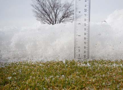 Photo by Kevin Frank, Ph.D.