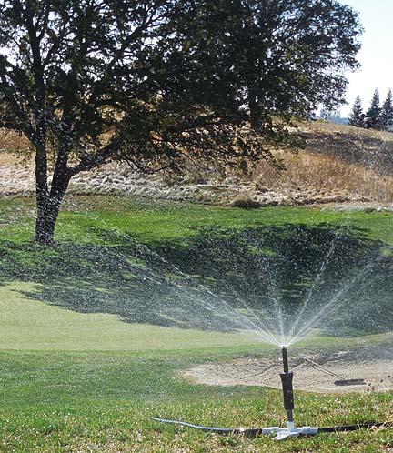 Low-flow sprinklers off the fairways have helped Pat Smyth manage water more efficiently at Saddle Creek Resort in California.