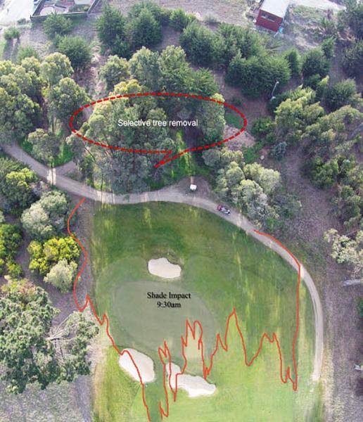 Drone use helped Thomas Bastis implement a tree-management plan  at the California Golf Club.