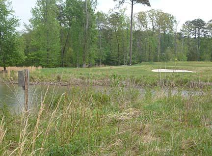 At The Bear Trace at Harrison Bay, wood duck nesting boxes (left) and golf naturally go together.