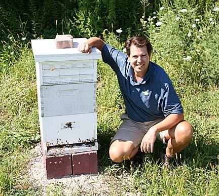 Scott Witte with some of his bees at Catigny Golf Course.
